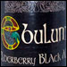 Ebulum Elderberry Black Ale