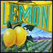 Saxer Lemon Lager